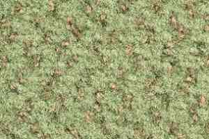 Ковролин Balsan Impression Roll 230 фото  | FLOORDEALER
